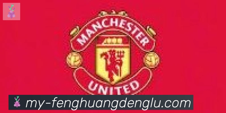 凤凰彩票登录入口合作伙伴